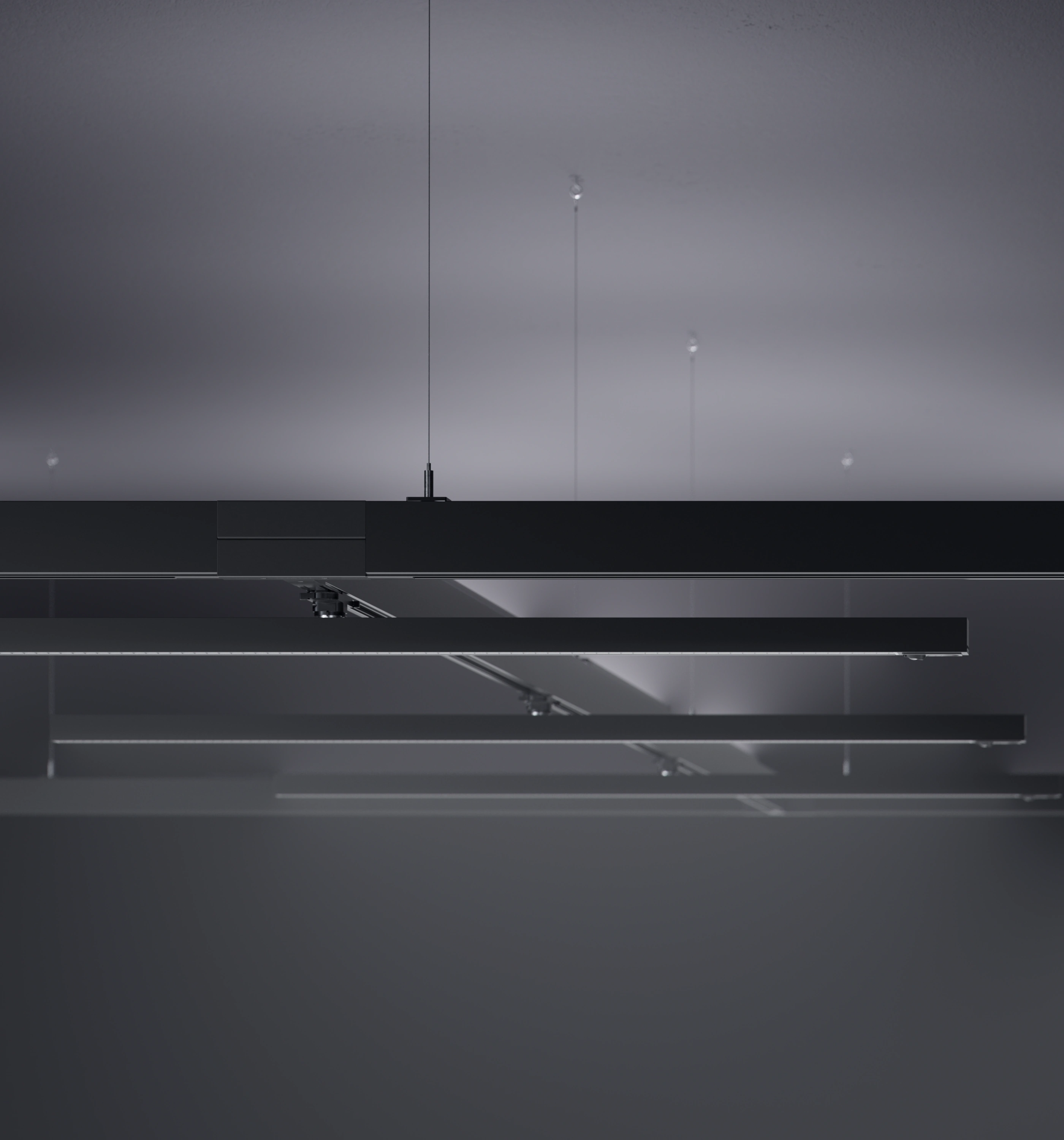 Control Track Dual pendant