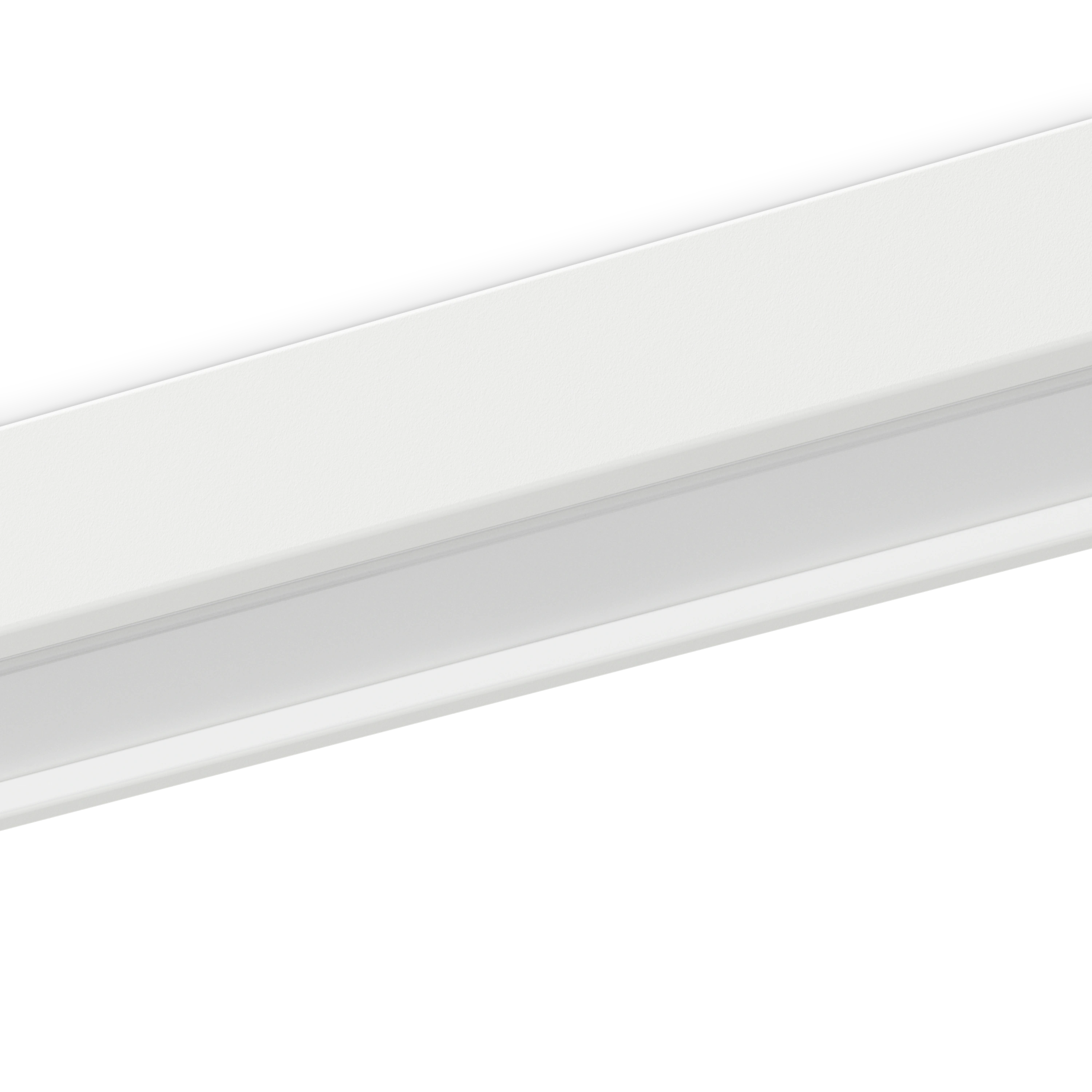 Zest Basic surface
